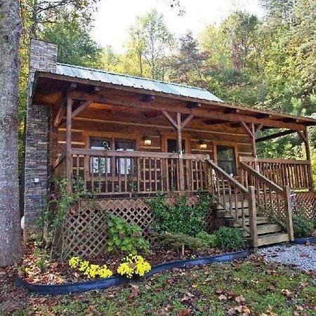 Peaceful Tellico View Home With Private Hot Tub Tellico Plains Eksteriør billede
